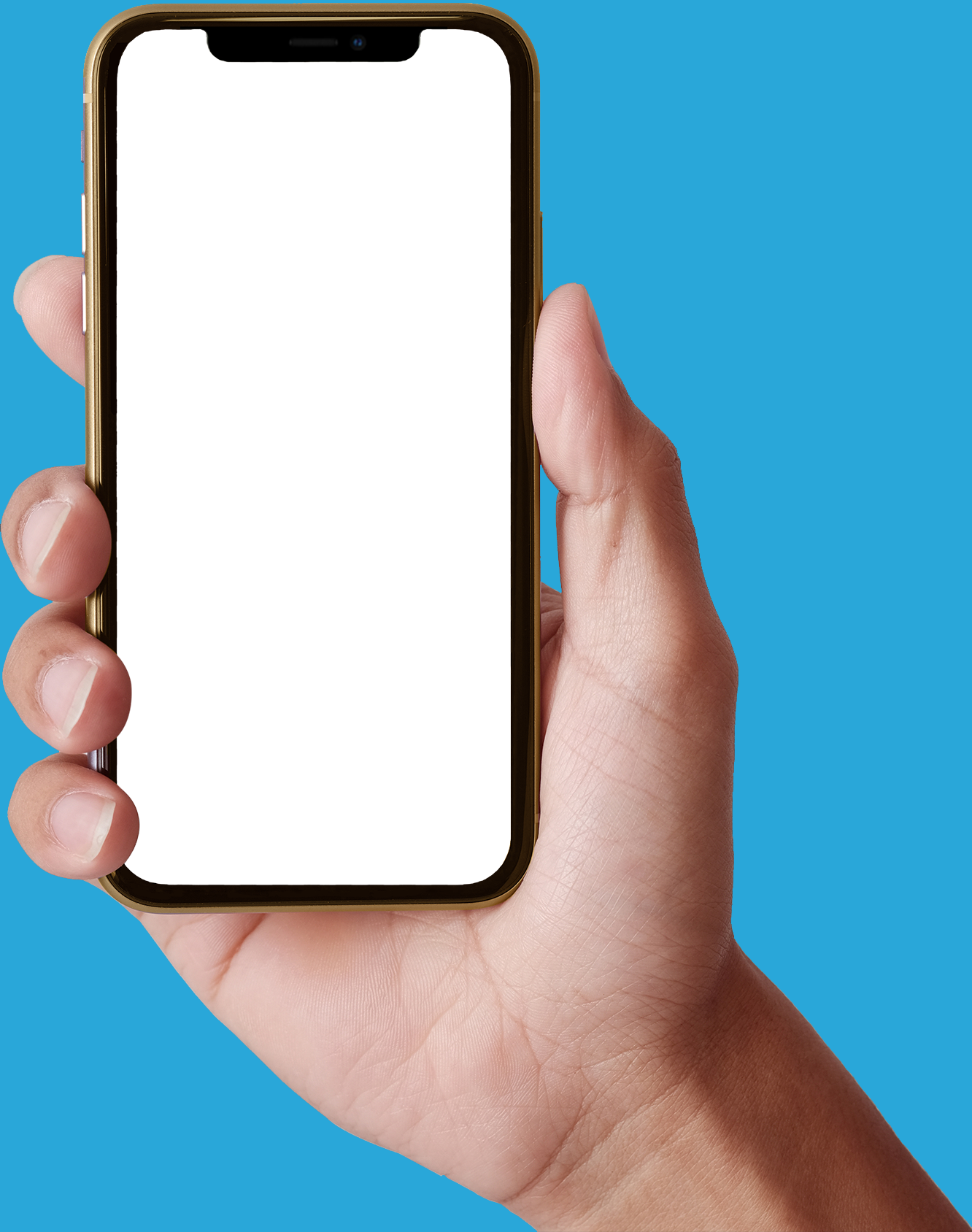 Pond Installation - Eastern Iowa Landscape Services, LLC