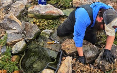 The Master-Certified Guide to Water Feature Leak Detection & Repair in Eastern Iowa