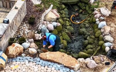 The Maintenance Blueprint: How Often Your Eastern Iowa Pond Needs Professional Cleaning for Peak Health