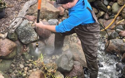 The Annual Awakening: Why the Spring Clean-Out is the Most Vital Service for Your Pond