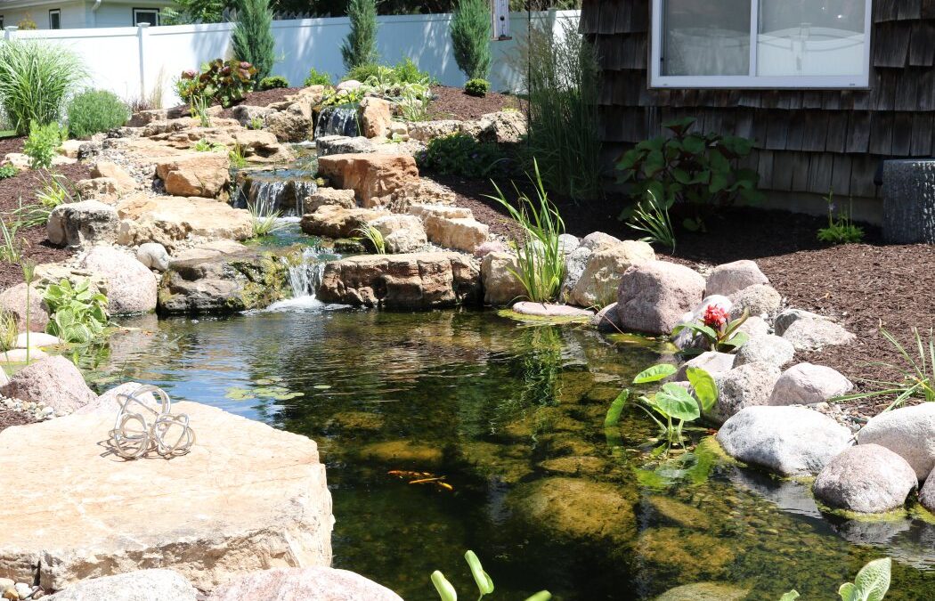 The Science of Serenity: What Defines an Ecosystem Pond and Why It’s the Best Choice for Eastern Iowa