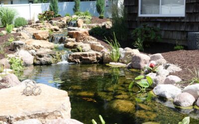 The Science of Serenity: What Defines an Ecosystem Pond and Why It’s the Best Choice for Eastern Iowa