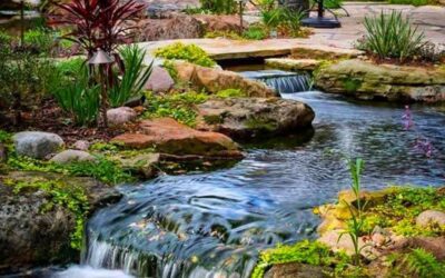 Pondless Waterfall vs. Ecosystem Pond: Which Water Feature is Right for Your Eastern Iowa Home?