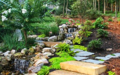 The Magic of Water: How a Pondless Waterfall Transforms Your Eastern Iowa Landscape