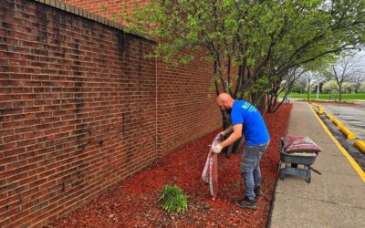 The Seasonal Essentials: A Comprehensive Guide to Spring and Fall Cleanup Services in Eastern Iowa